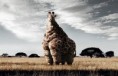 /album/portfolio-of-the-world/a014-pics-jpg/