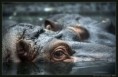 /album/portfolio-of-the-world/a025-pics-jpg/