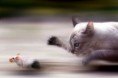 /album/portfolio-of-the-world/a030-pics-jpg/