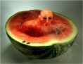 /album/portfolio-of-the-world-3-creativity-food/creativity-food-03-jpg/