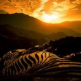 /album/portfolio-of-the-world-4-cina-beautiful/immagini-cina-06-jpg/
