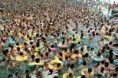 /album/photo-gallery-6-portfolio-of-the-world/a018-swim-jpg/