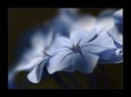 /album/photo-gallery-10/azul-126-jpg/