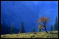 /album/photo-gallery-10/azul-140-jpg/