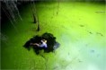 /album/photo-gallery-11-rosso/verde100-jpg/